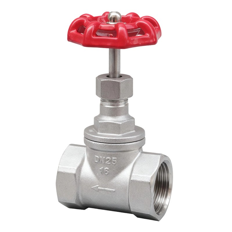 Nerjaveèi asye Globe Valv